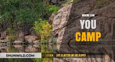 Discover the Best Camping Spots: Where to Pitch Your Tent