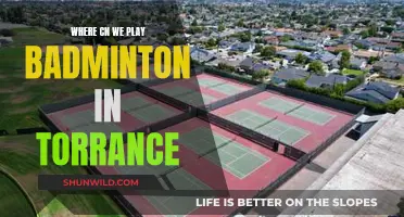 Badminton Venues in Torrance: Where to Play?
