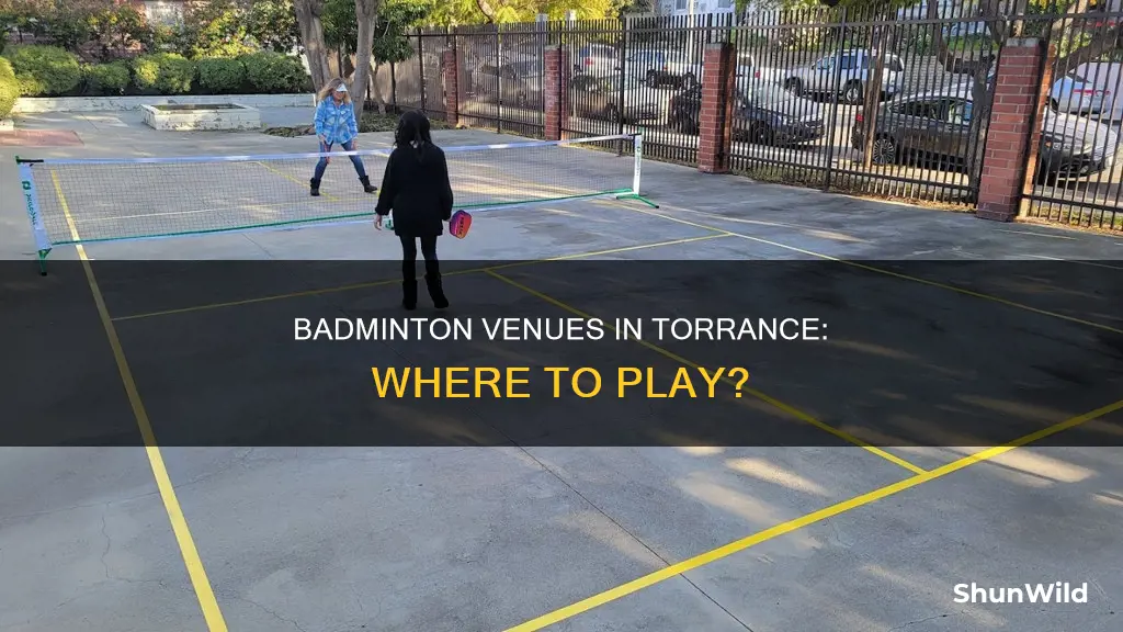 where cn we play badminton in torrance