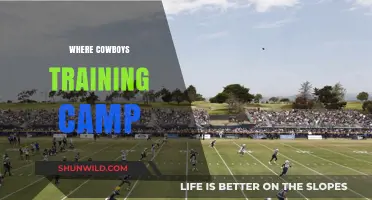 Saddle Up: Exploring the Heart of Cowboy Training Camps