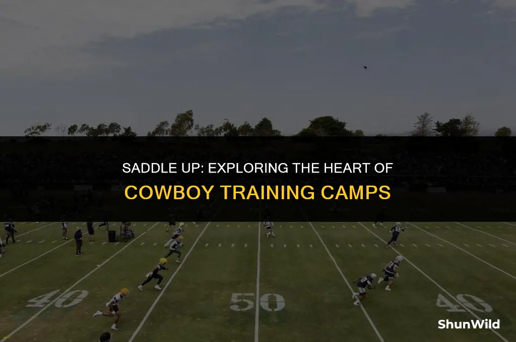 where cowboys training camp
