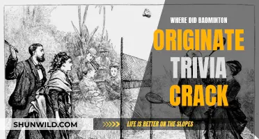 Badminton's Surprising Origin: Trivia Crack