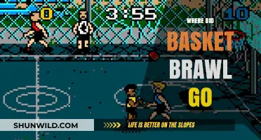 The Mystery of Basket Brawl's Disappearance