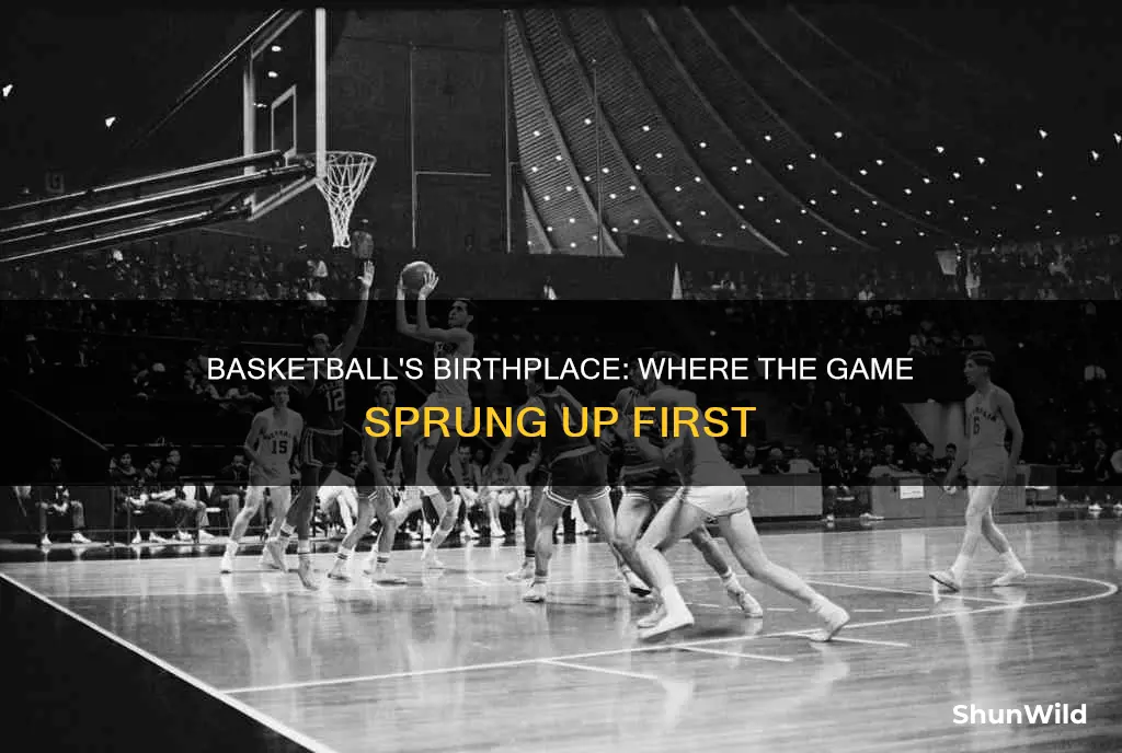 where did basketball first start