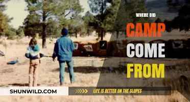 Exploring the Origins: A Deep Dive into Camp's History