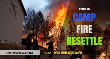 Where Did Camp Fire Resettle: A Community's Journey to Recovery