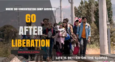Post-Liberation Journeys: Where Concentration Camp Survivors Found Refuge
