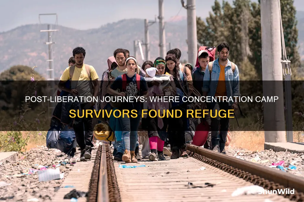 where did concentration camp survivors go after liberation