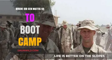 Gen. Mattis' Boot Camp Journey: Uncovering His Military Beginnings