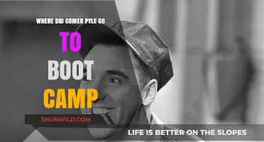 Where Did Gomer Pyle Train? Uncovering His Boot Camp Location