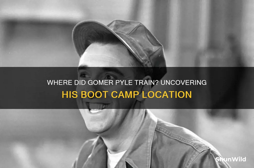 where did gomer pyle go to boot camp