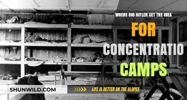 Hitler's Concentration Camps: Origins and Historical Influences Explored
