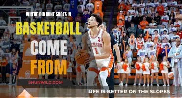 The Evolution of the Basketball Hunt Shot