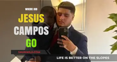Unraveling the Mystery: The Disappearance of Jesus Campos