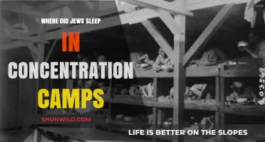 Where Did Jews Sleep in Concentration Camps: A Historical Overview