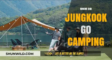 Jungkook's Wilderness Adventure: Unwinding in Nature's Embrace