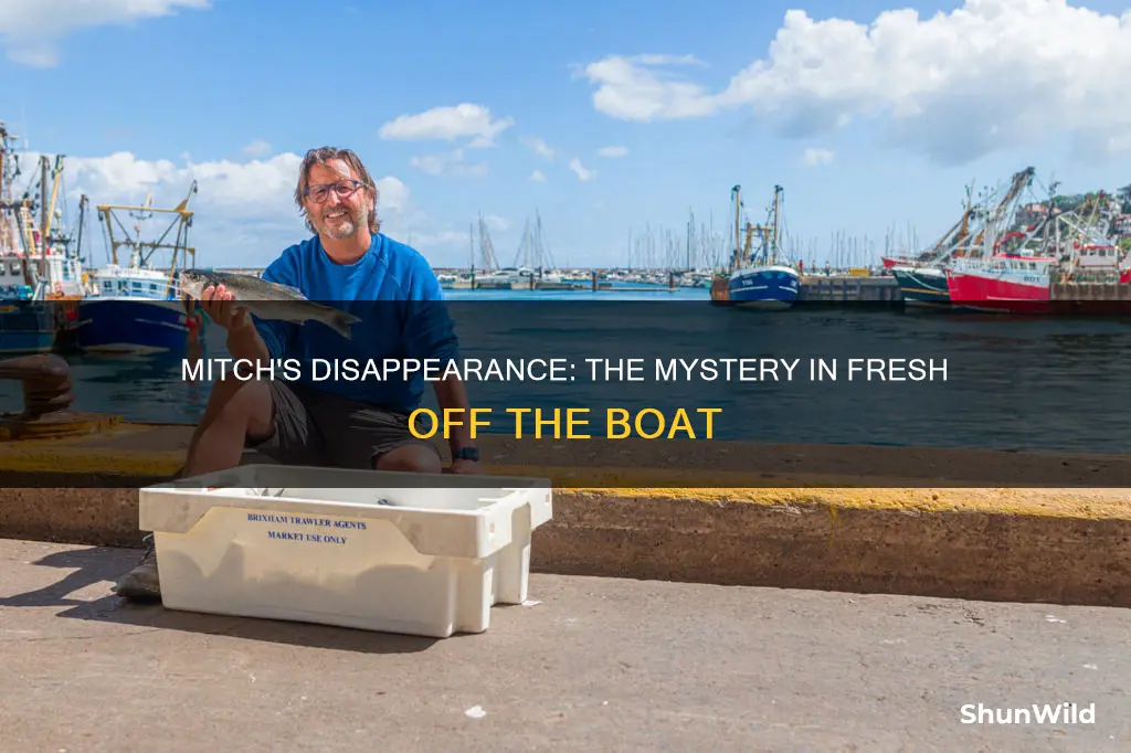 where did mitch go fresh off the boat