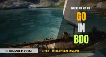 BDO Boat Gone Missing: Where to Find It?