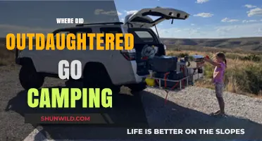 Exploring the Great Outdoors: Our Daughter's Camping Adventures Unveiled