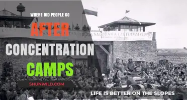 Life After Liberation: Tracing Survivors' Paths Post-Concentration Camps