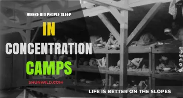 Sleeping Conditions in Concentration Camps: A Grim Reality Revealed