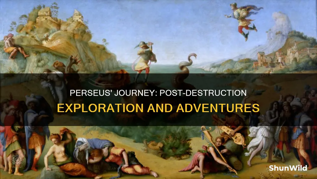 where did perseus go after the boat was destroyed
