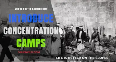 The Origins of Concentration Camps: Britain's First Implementation