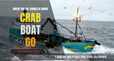 The Cornelia Marie: Mystery of a Missing Crab Boat