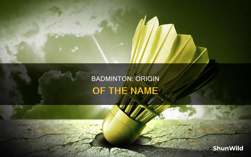where did the term badminton come from