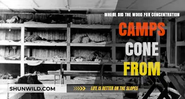 Origins of Timber: Sourcing Wood for Nazi Concentration Camps