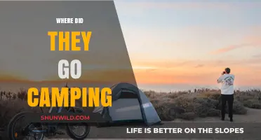Exploring the Great Outdoors: A Journey to Remember