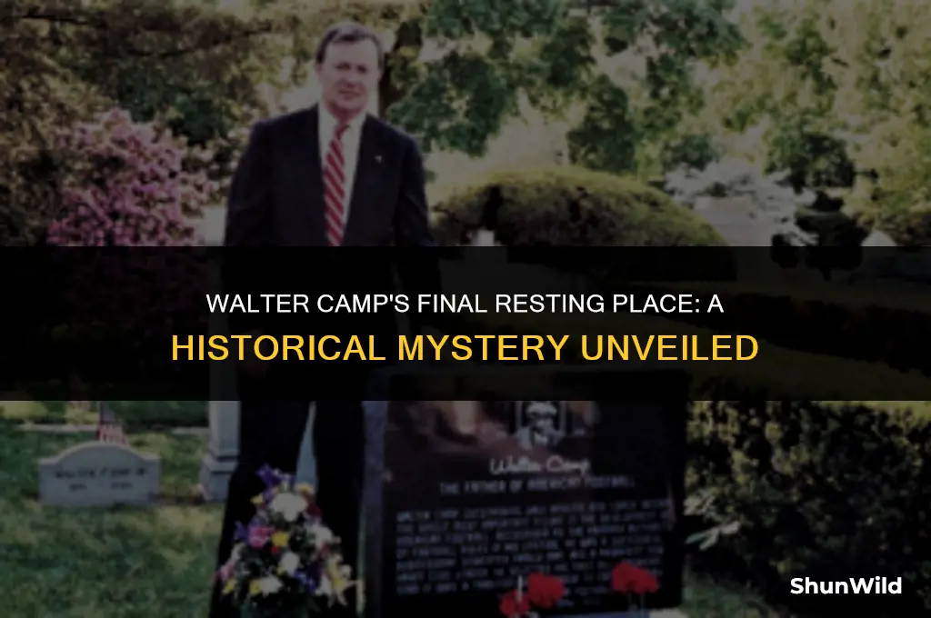 where did walter camp die