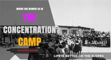 The Forgotten Journey: Women's Paths in Concentration Camps
