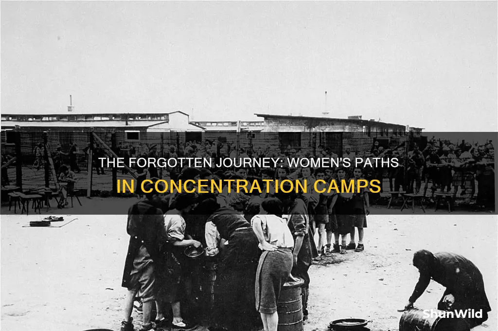 where did women go in the concentration camp
