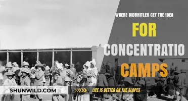 Hitler's Concentration Camps: Origins and Historical Influences Explored