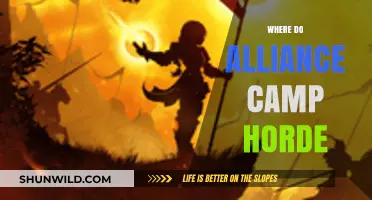 Exploring the Horde Alliance Camps in World of Warcraft