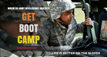 Army Intelligence Analysts: Unveiling Boot Camp Locations and Training Insights