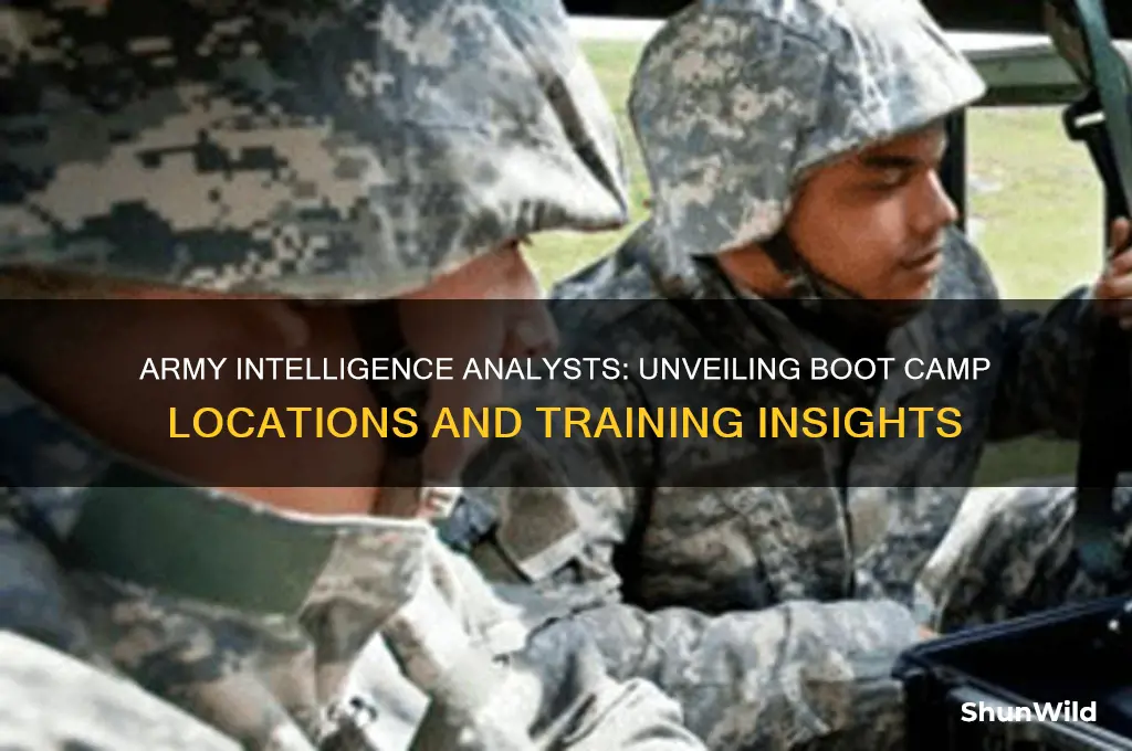 where do army intelligence analysts get boot camp