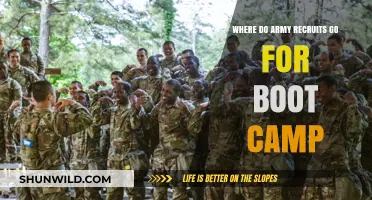 Where Army Recruits Train: Unveiling Boot Camp Locations and Insights