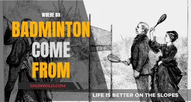 Badminton's Roots: A Historical Perspective