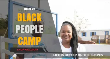 Exploring Nature's Embrace: Camping Spots Beloved by Black Communities