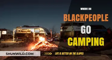 Exploring Nature's Embrace: Camping Destinations for Black Adventurers