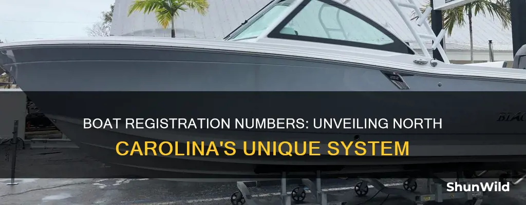 where do boat registration numbers go in north carolina