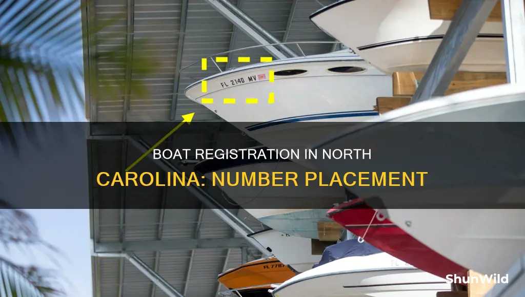where do boat registration numbers go in north carolina