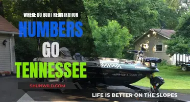 Tennessee Boat Owners: Displaying Registration Numbers Correctly