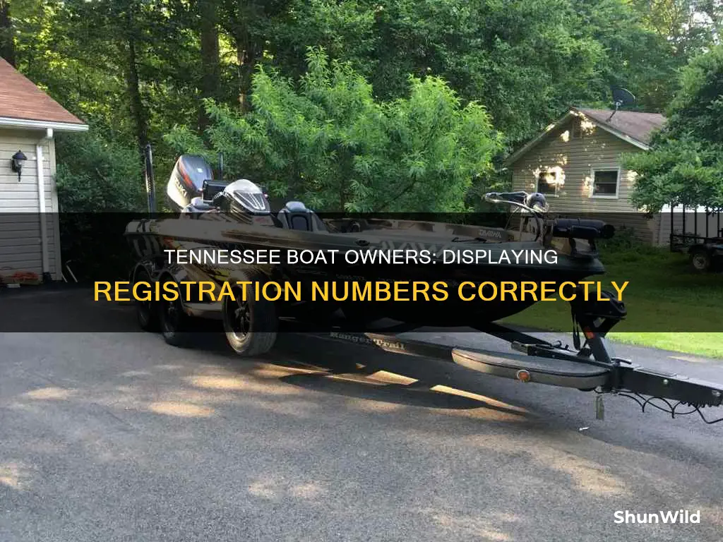where do boat registration numbers go tennessee