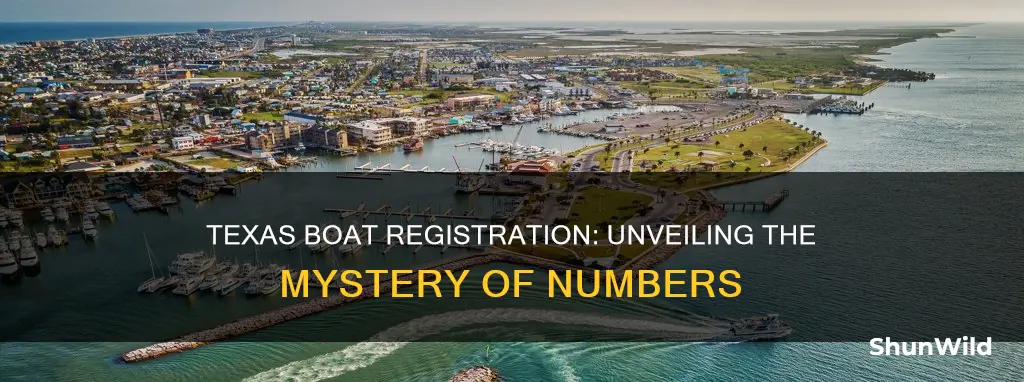 where do boat registration numbers go texas