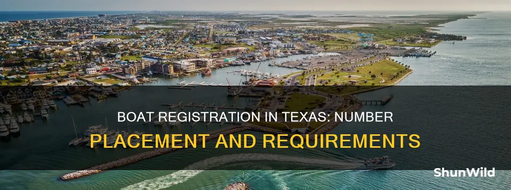 where do boat registration numbers go texas