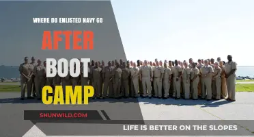 Life After Navy Boot Camp: Enlisted Sailors' Next Steps Explained