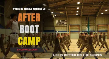 Female Marines' Post-Boot Camp Journey: Training, Assignments, and Career Paths